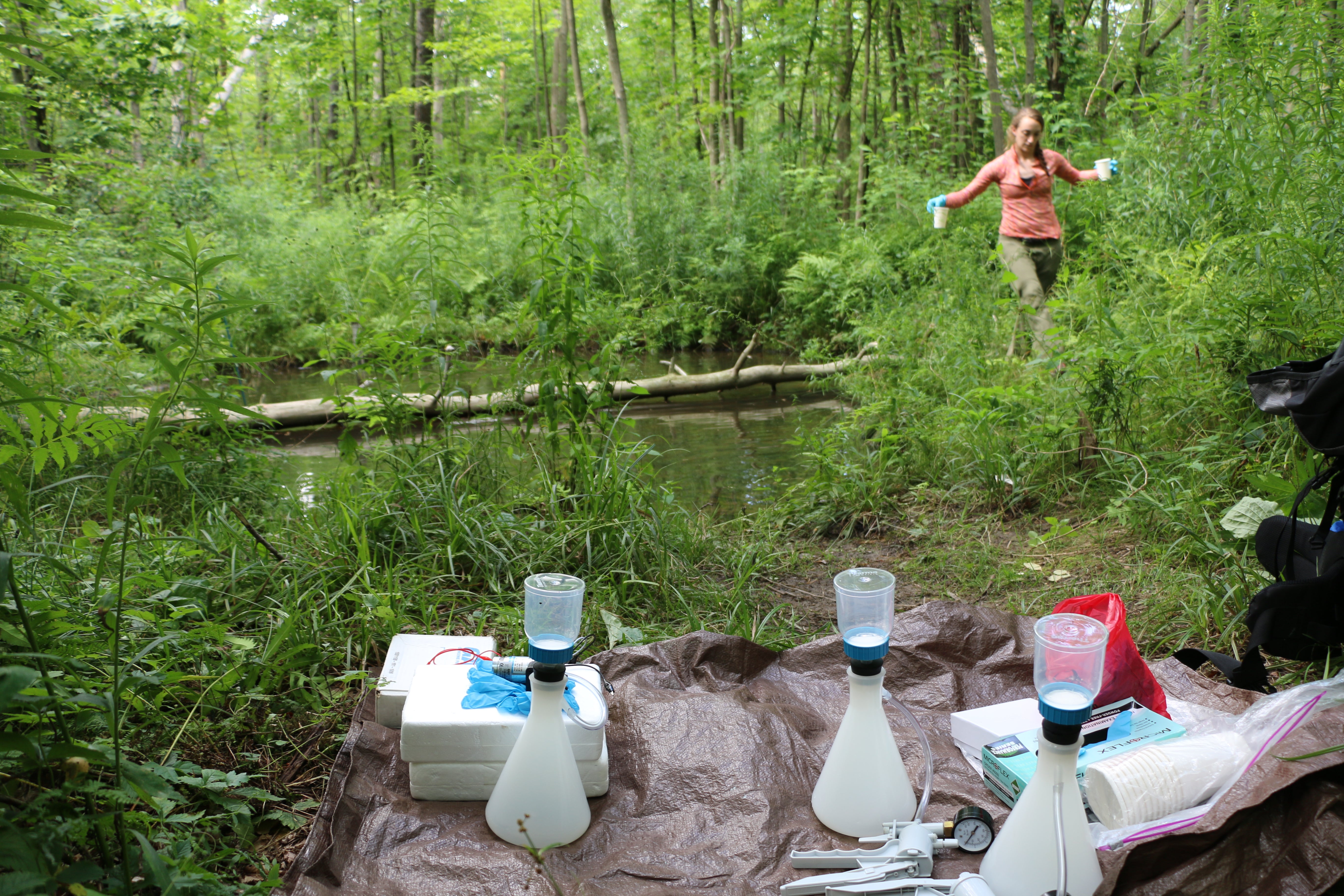 Photo of Alyssa Kaganer in a forest near a pond carrying water samples. In the image is lab equipment sitting on a brown tarp on the bank of a pond.