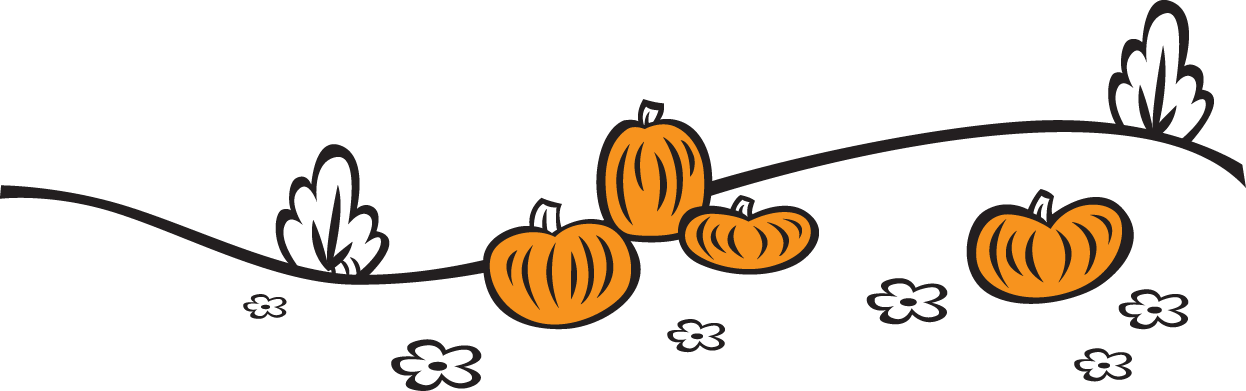 Pumpkins on a hillside