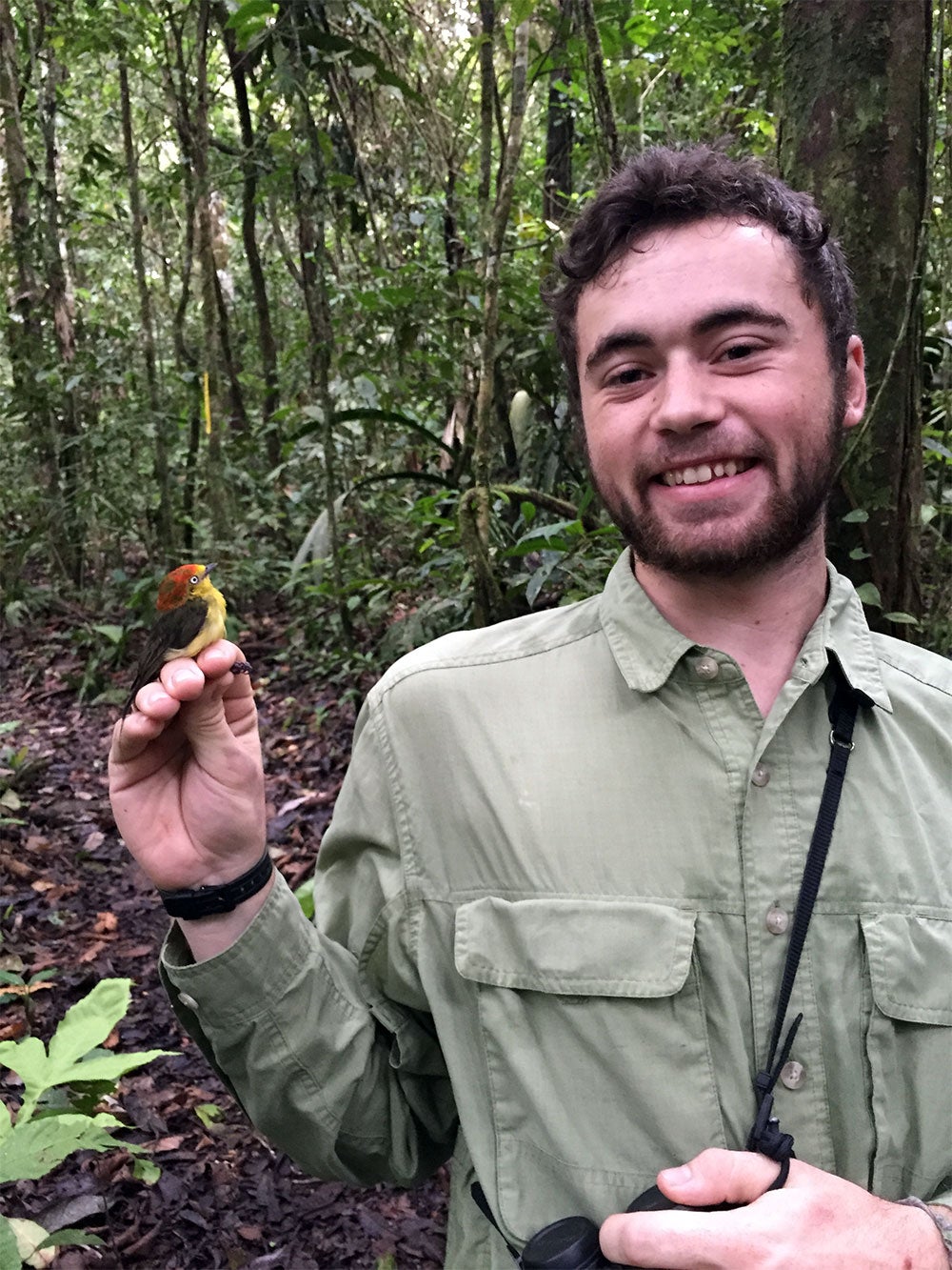 Smithsonian Migratory Bird Center graduate student Ben Vernasco holds a young wire-tailed manakin bird
