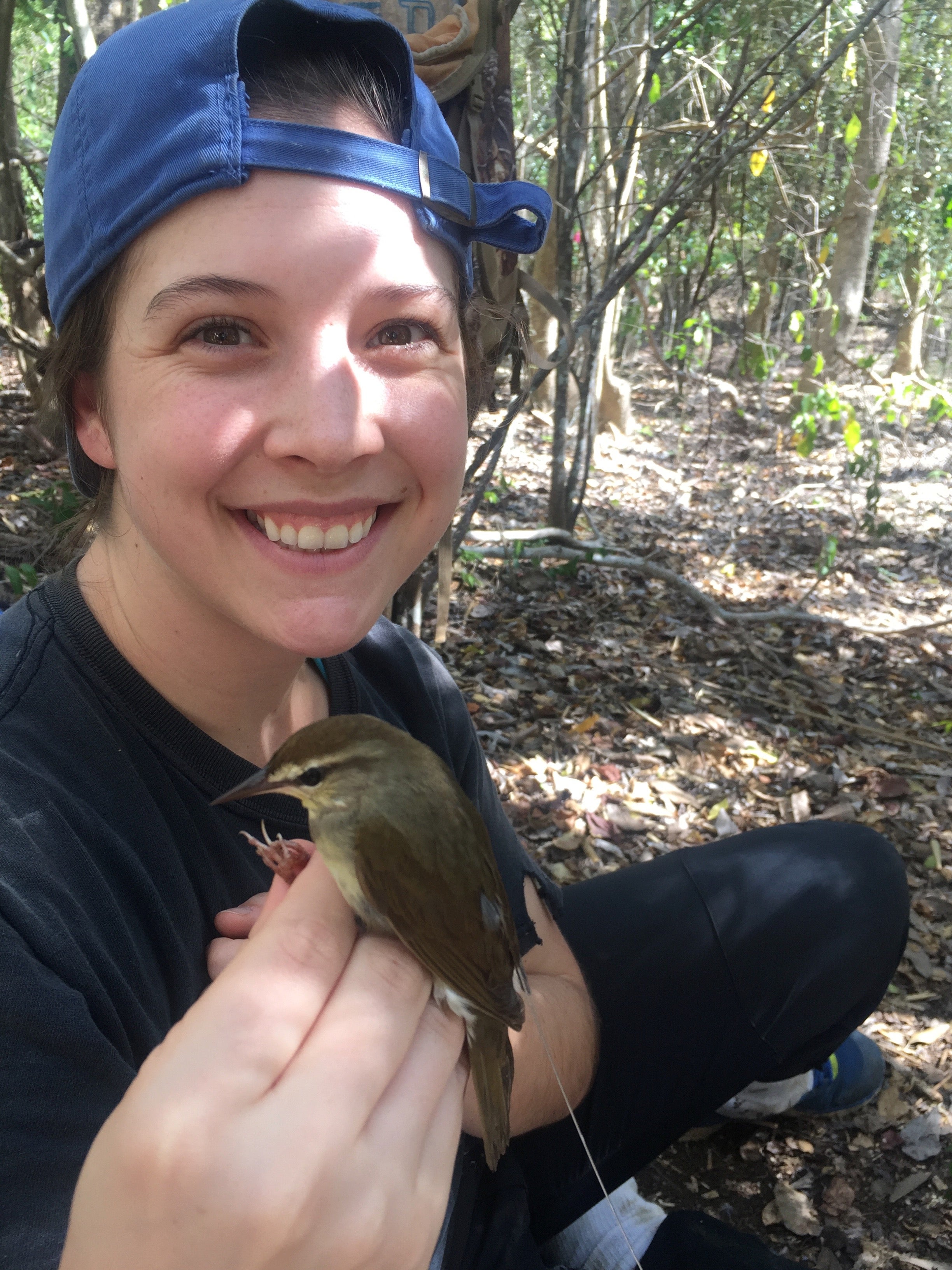 Scientists holds a radio-tagged Swainson's warbler bird