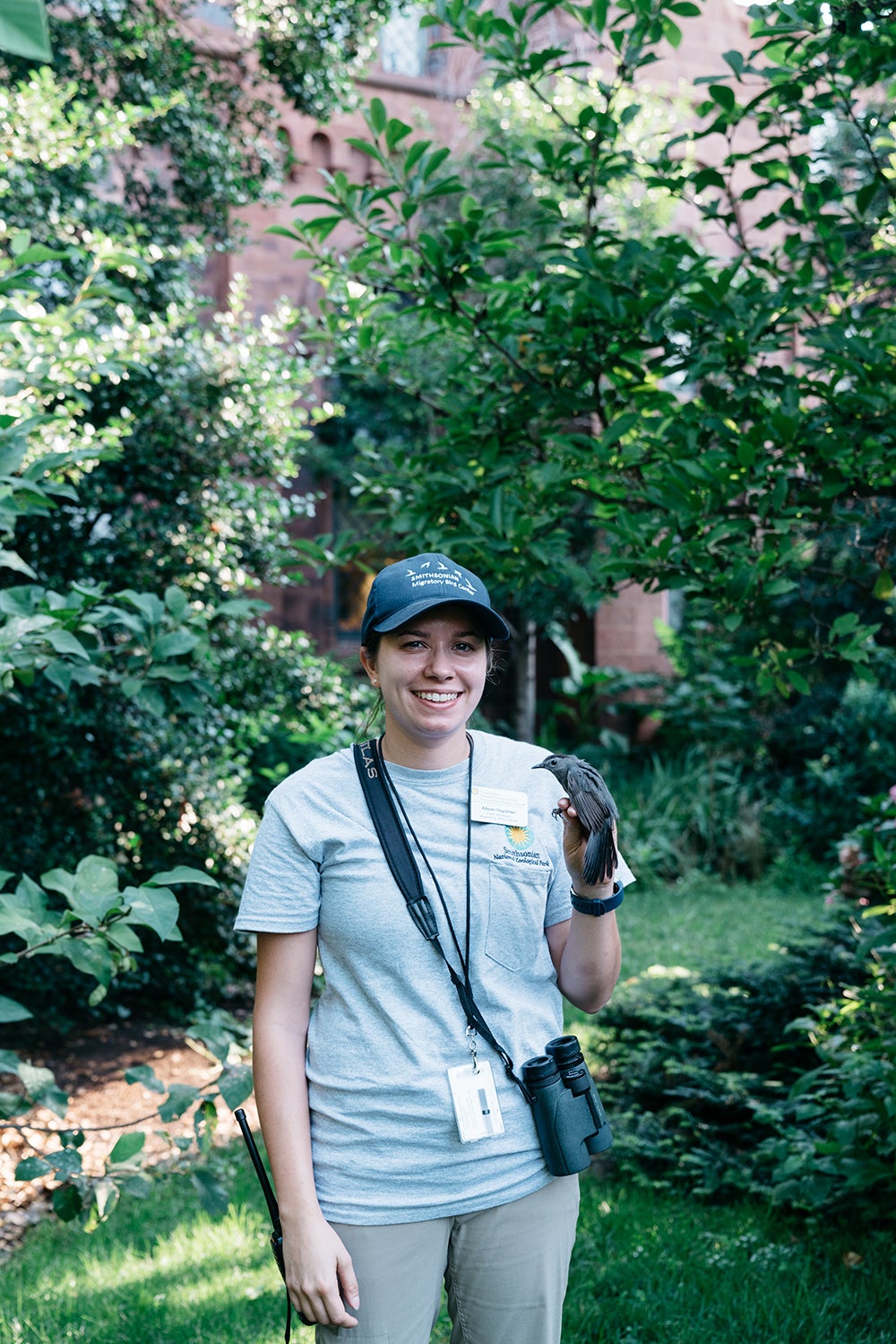 A scientist holds a gray catbird