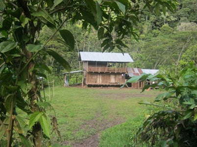 Noemi's family house in the Satipo District