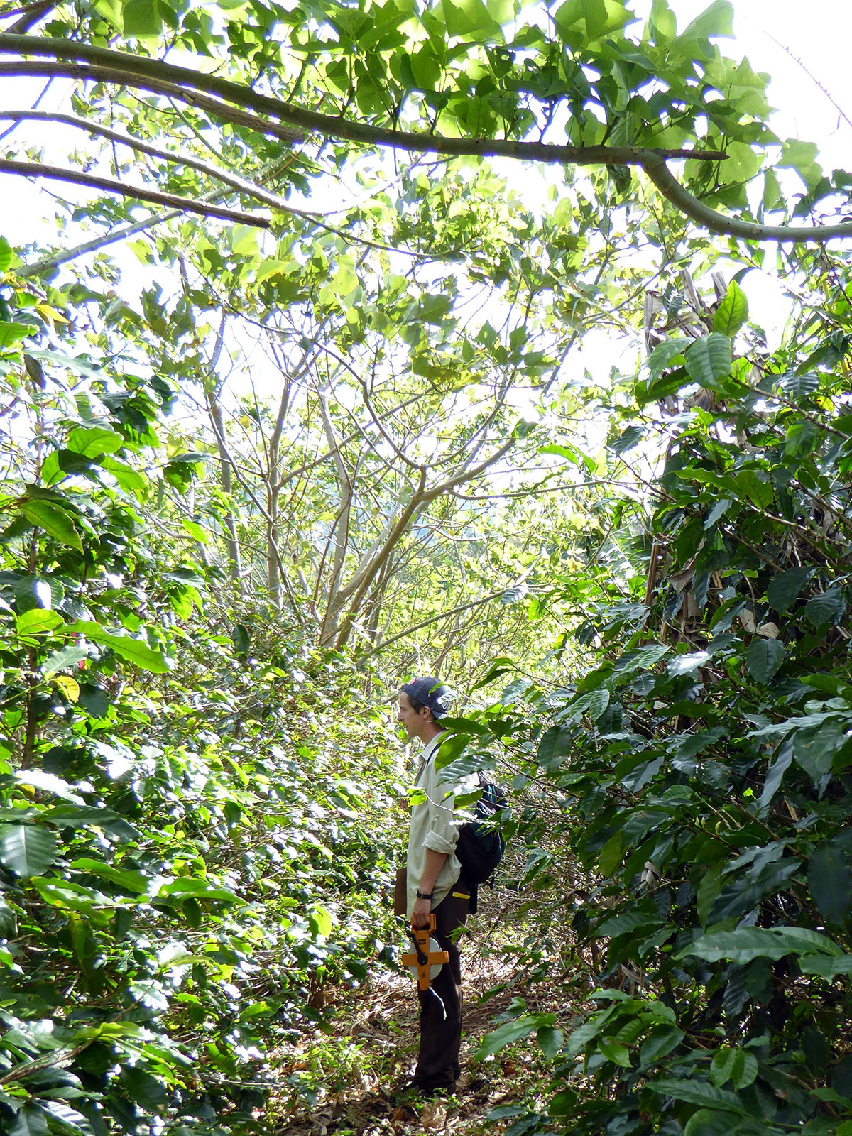 Humidity and Your Camera: Making a Dry Box in the Tropics - Two Weeks in  Costa Rica