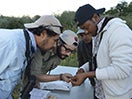 group gets close to examine a bird