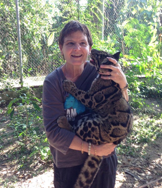 Janine Brown with a clouded leopard cub. Human interaction is an important part of young clouded leopards’ socialization that helps them remain calm around humans their whole lives, which imrpvoes their health, welfare, and ability to reproduce successfully.
