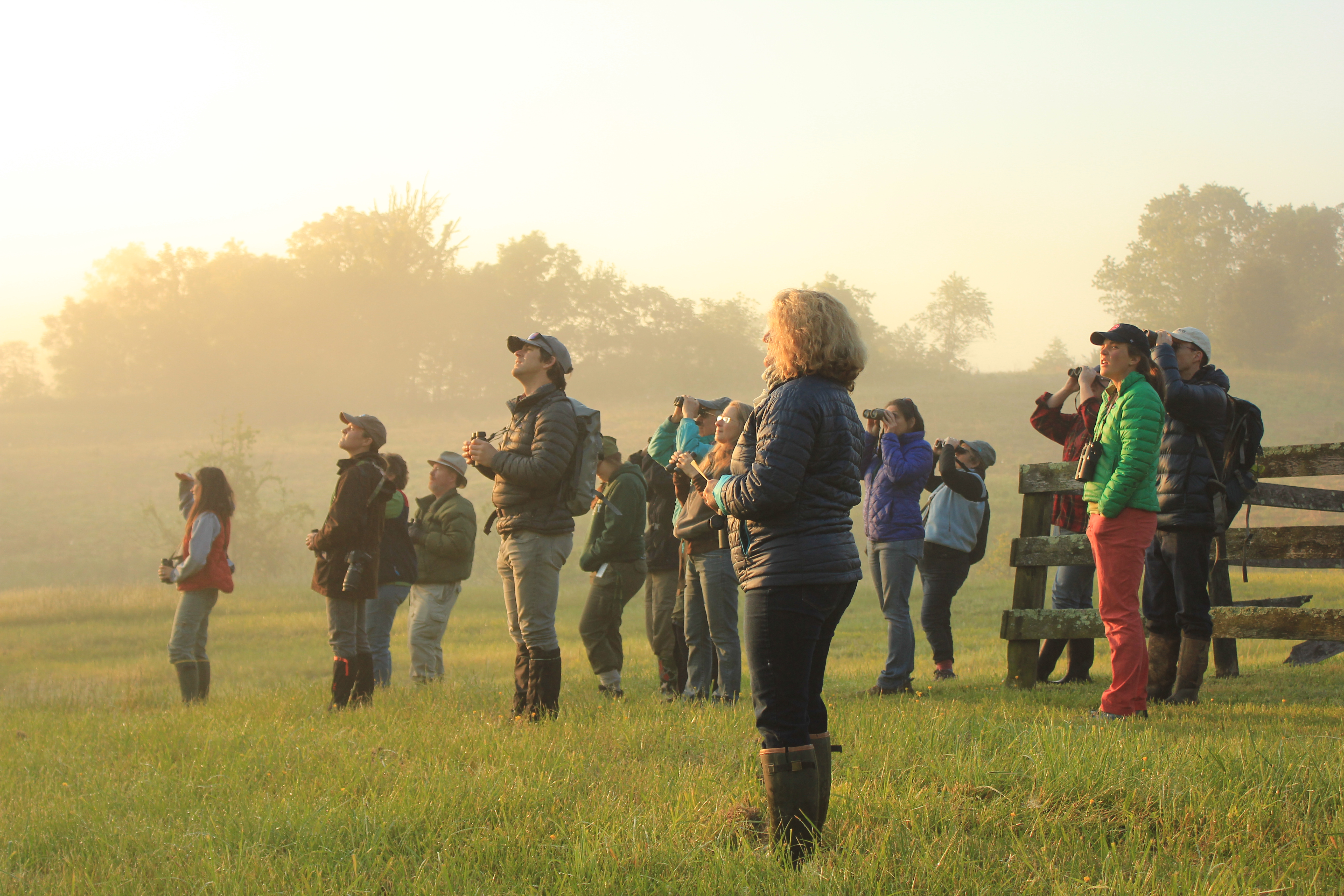 Researchers standing and looking across a foggy field