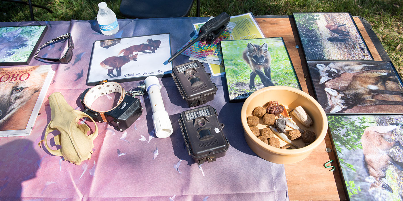 Conservation Discovery Day Smithsonian's National Zoo