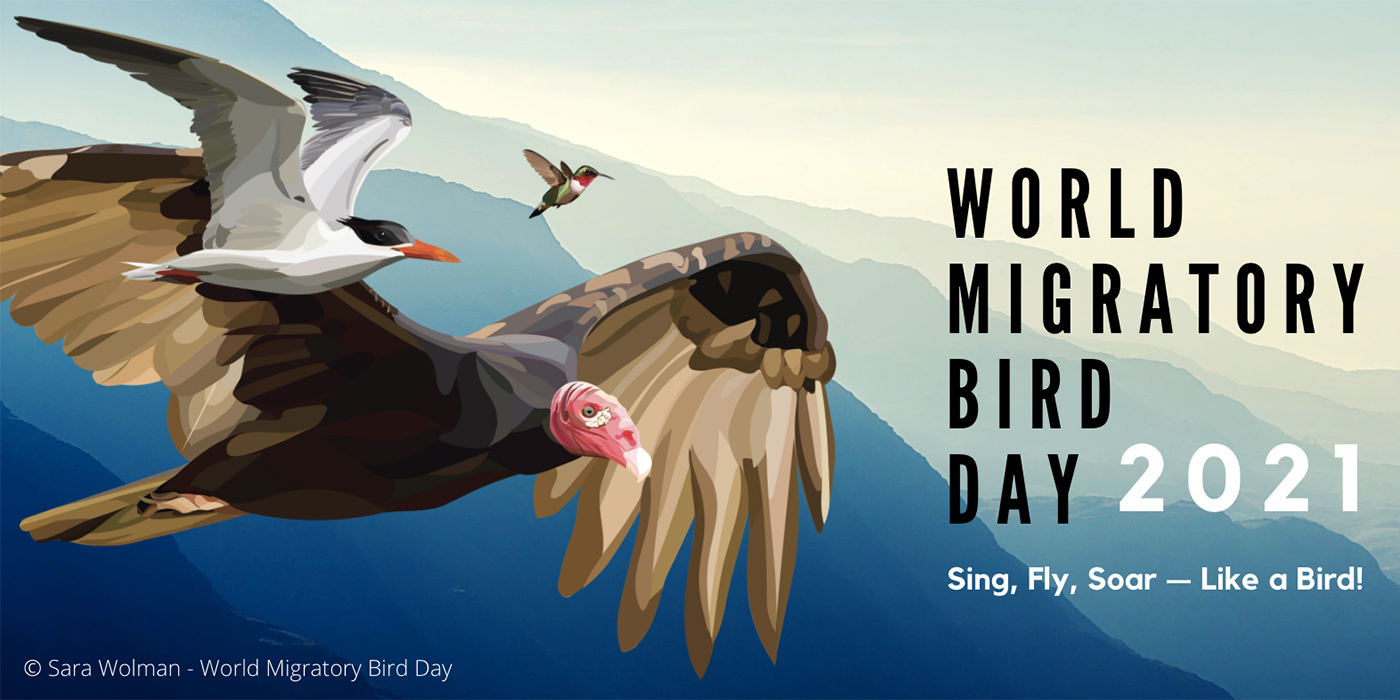 World Migratory Bird Day Live Bird Friendly Smithsonian's National Zoo