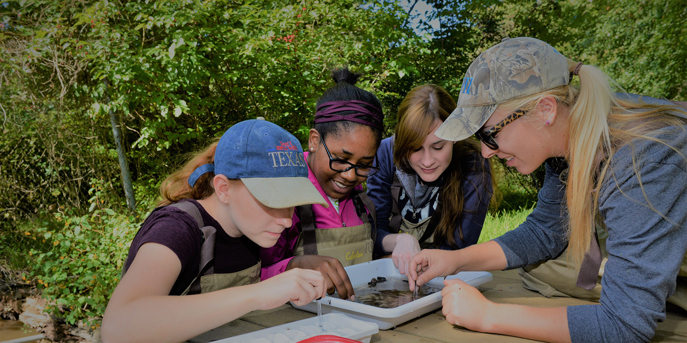 Four students sitting outside are gathered around a dish with murky liquid in it. They are using pipettes to sample the water.