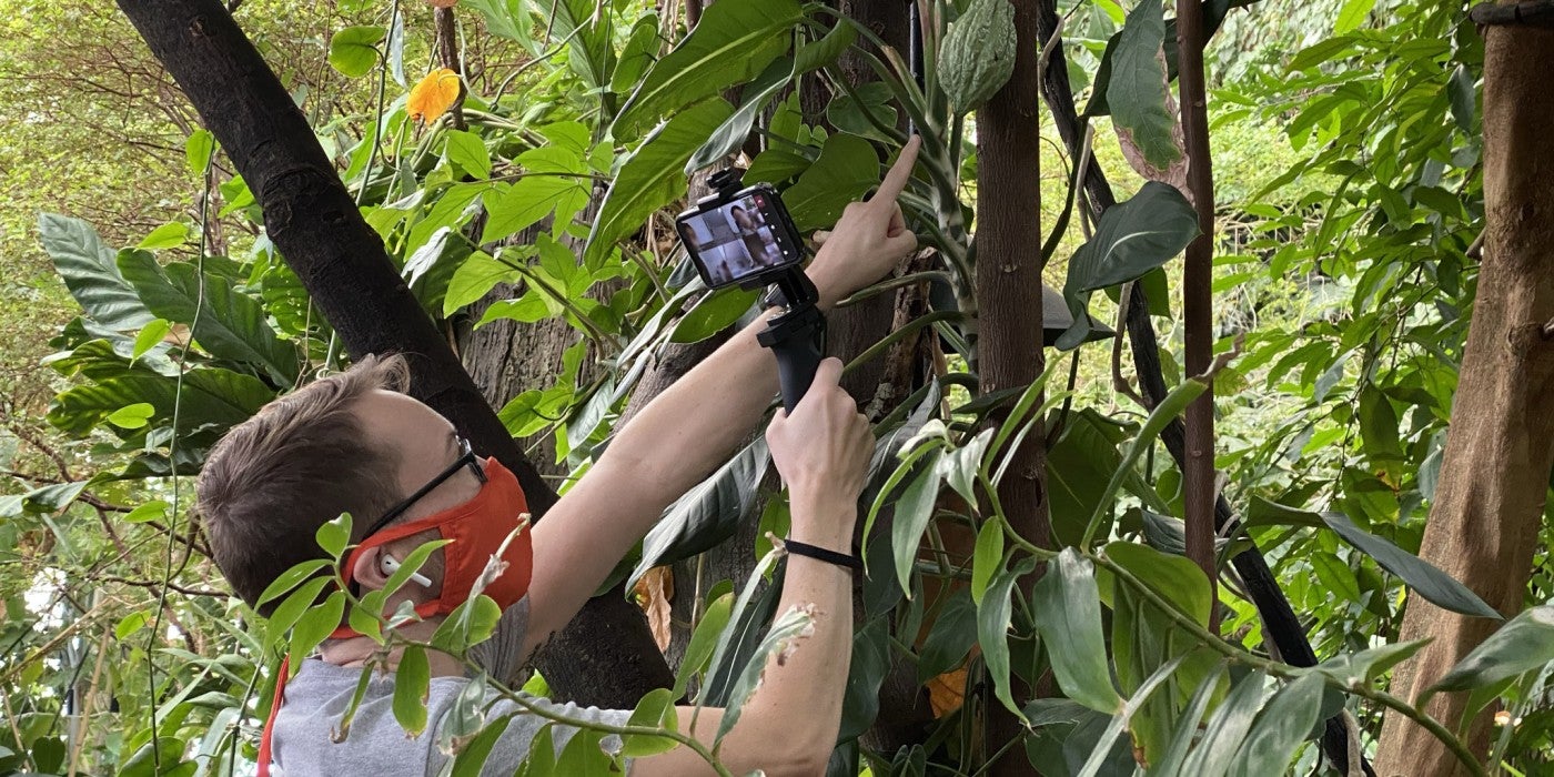An educator wearing a protective face covering talks to students via video on a phone and points out leaves and trees in the Amazonia exhibit