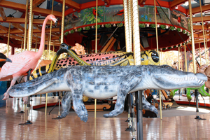 Speedwell Foundation Conservation Carousel