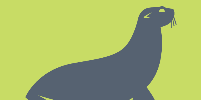 sea lion illustration