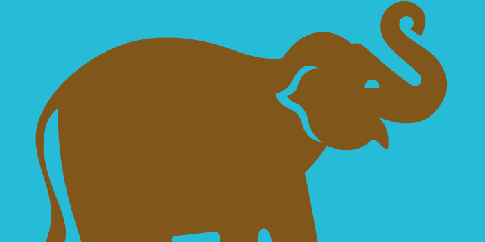 elephant illustration