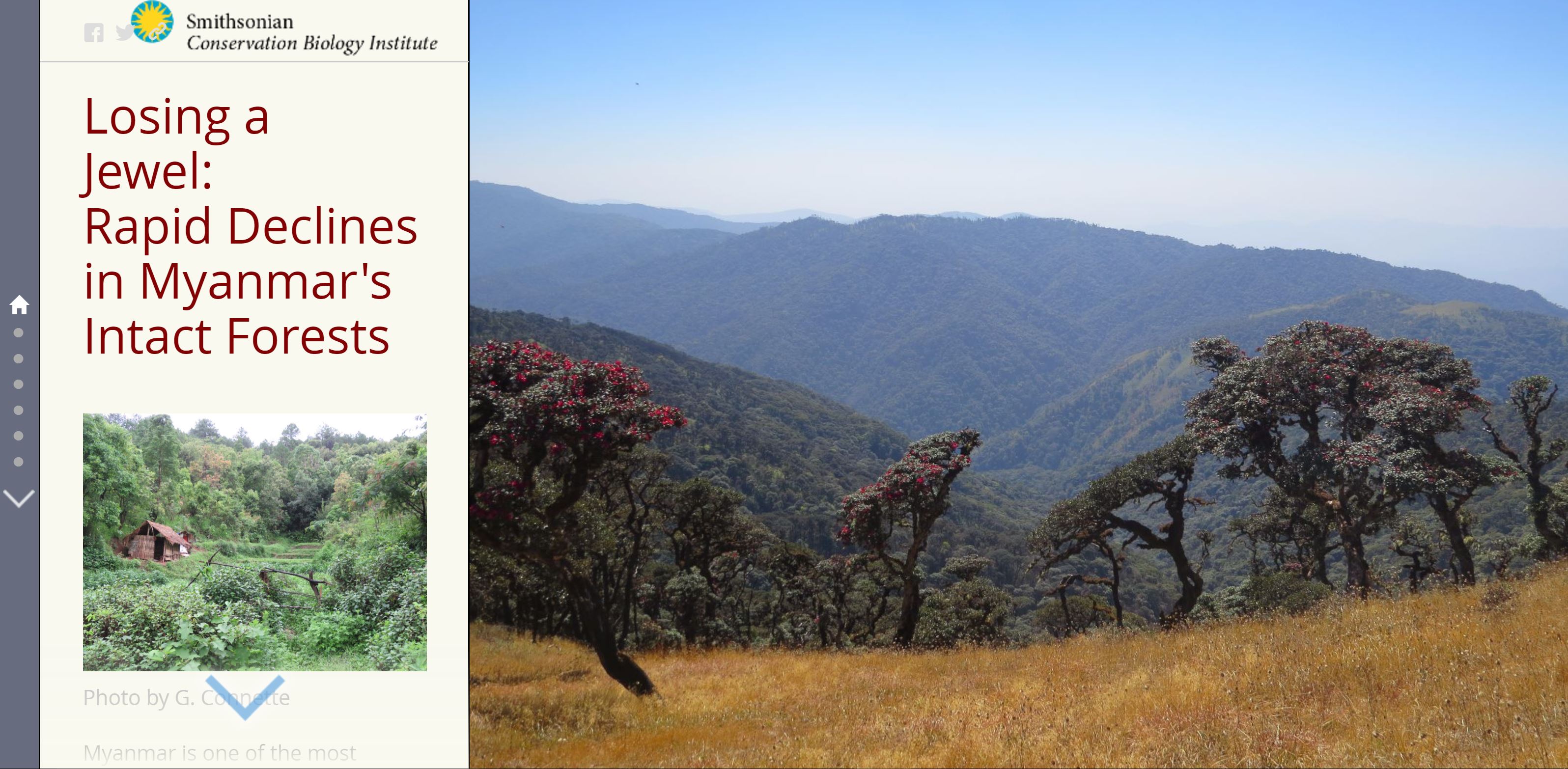 Myanmar Biodiversity | Smithsonian's National Zoo