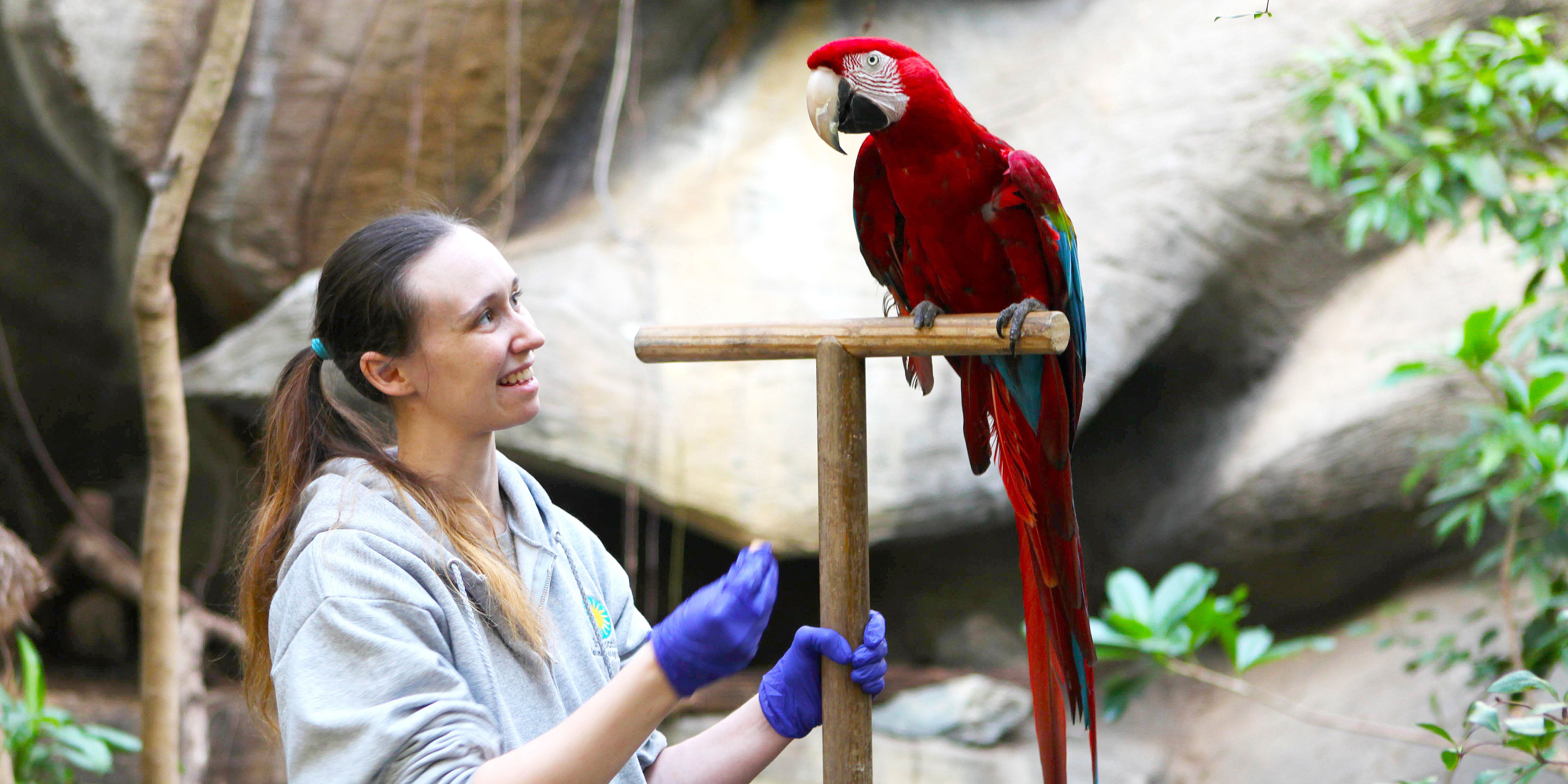 A Day in the Life of a Bird House Keeper | Smithsonian's National Zoo