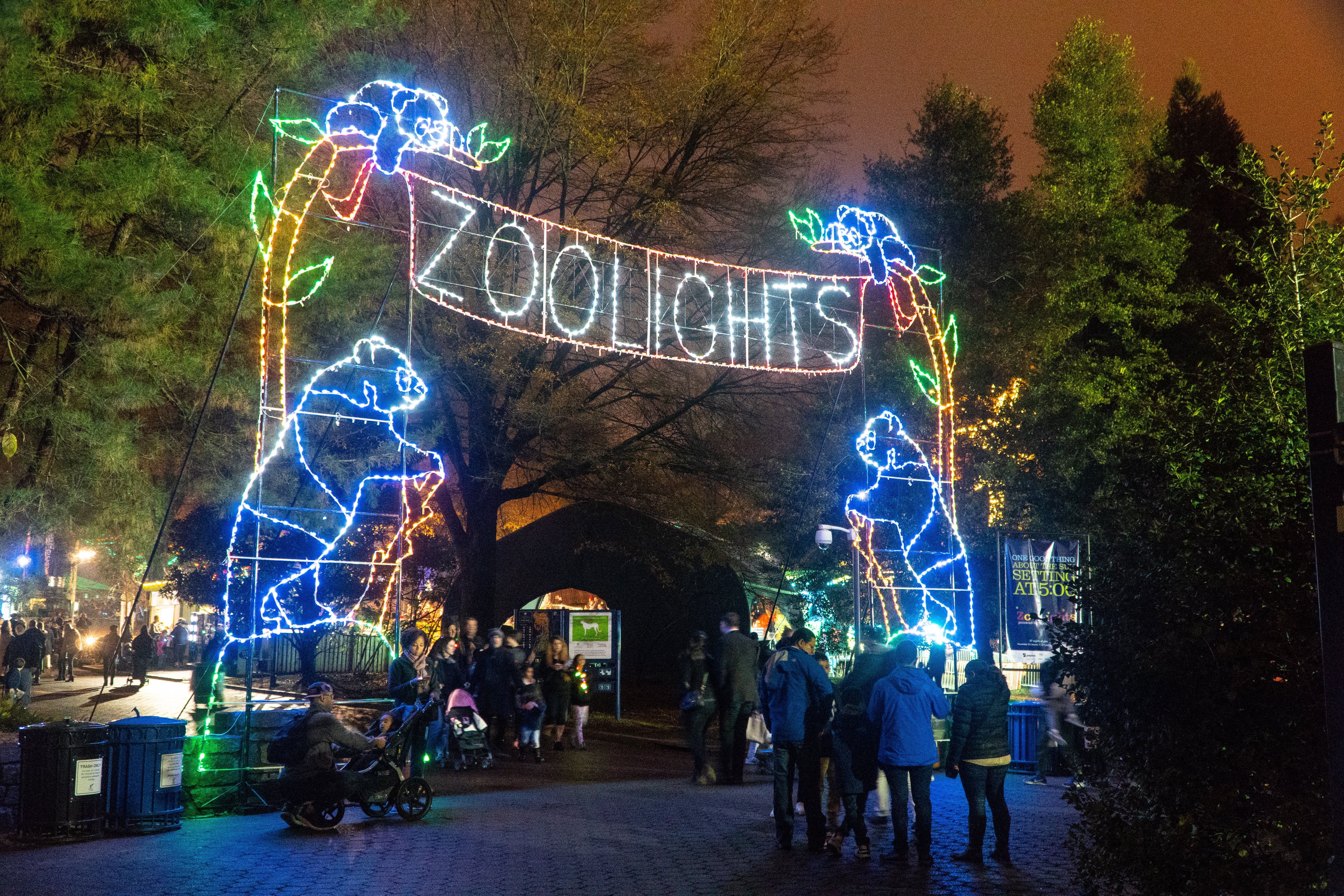 A entry way made of lights and animal silhouettes welcomes visitors into ZooLights. The "banner" across the top reads "ZooLights" and four giant panda silhouettes are arranged along the sides and corners of the banner.
