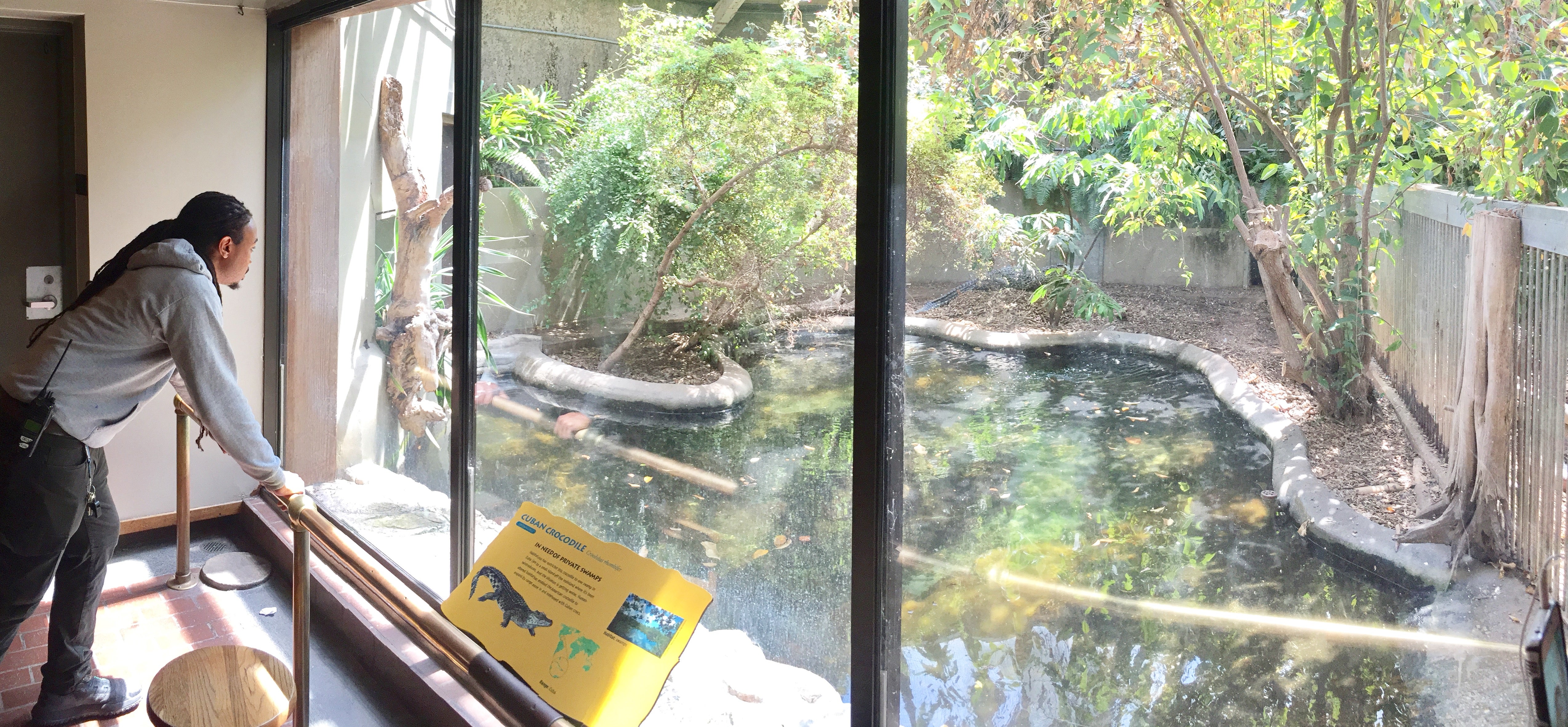 Kyle looks out at the Cuban Crocodile Exhibit