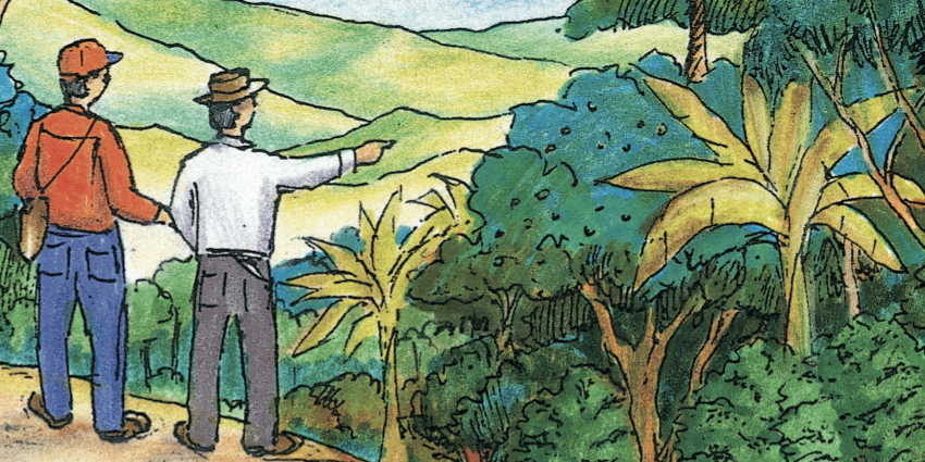 illustration of people looking at the canopy of trees over a coffee farm