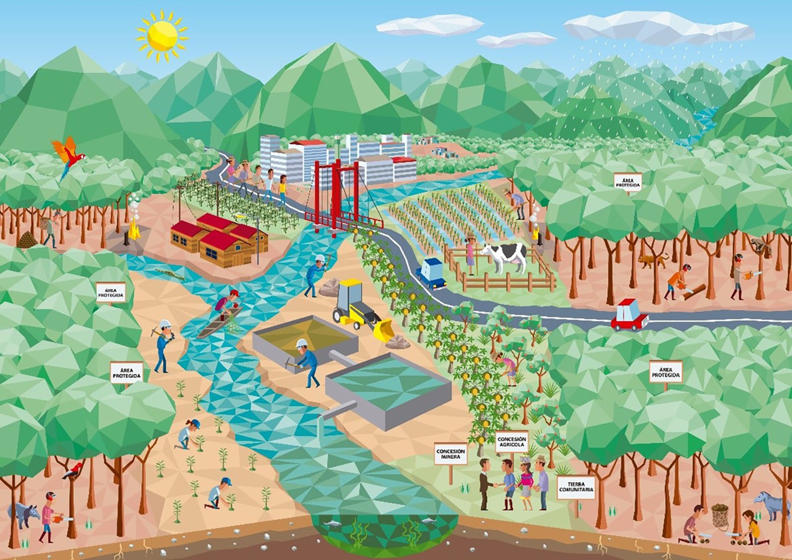 An illustration of a river, forest, mountains, farms and communities in Madre de Dios Peru