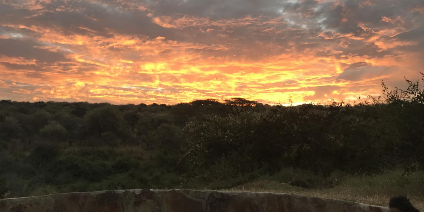 A sunset over a forested area in Kenya