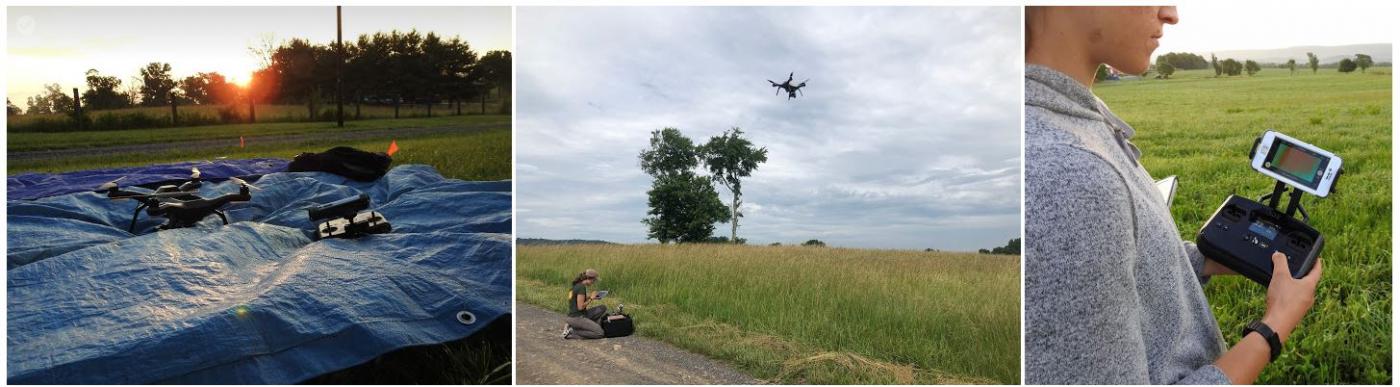 Drones to track grassland bird species