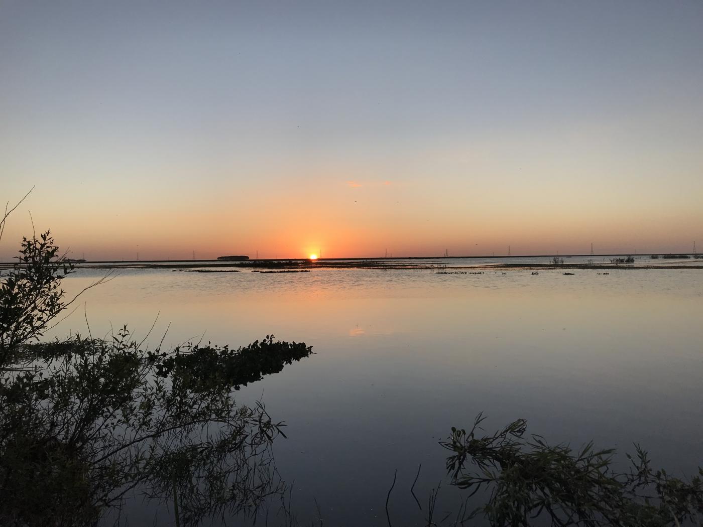 The sun setting over a body of water at Taim Ecological Station in Brazil
