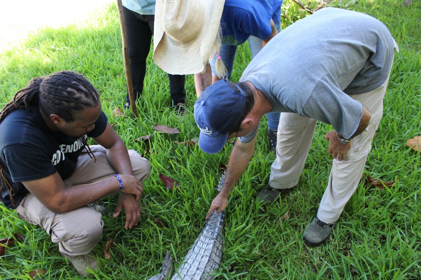 Kyle helps conduct a Cuban Crocodile health screening in Cuba