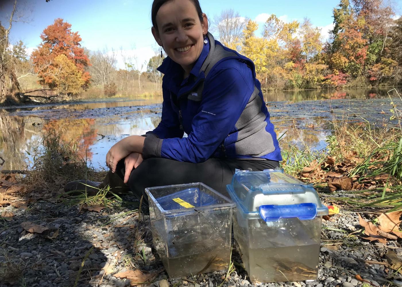 Carly Muletz Wolz collects salamanders in Front Royal, Virginia