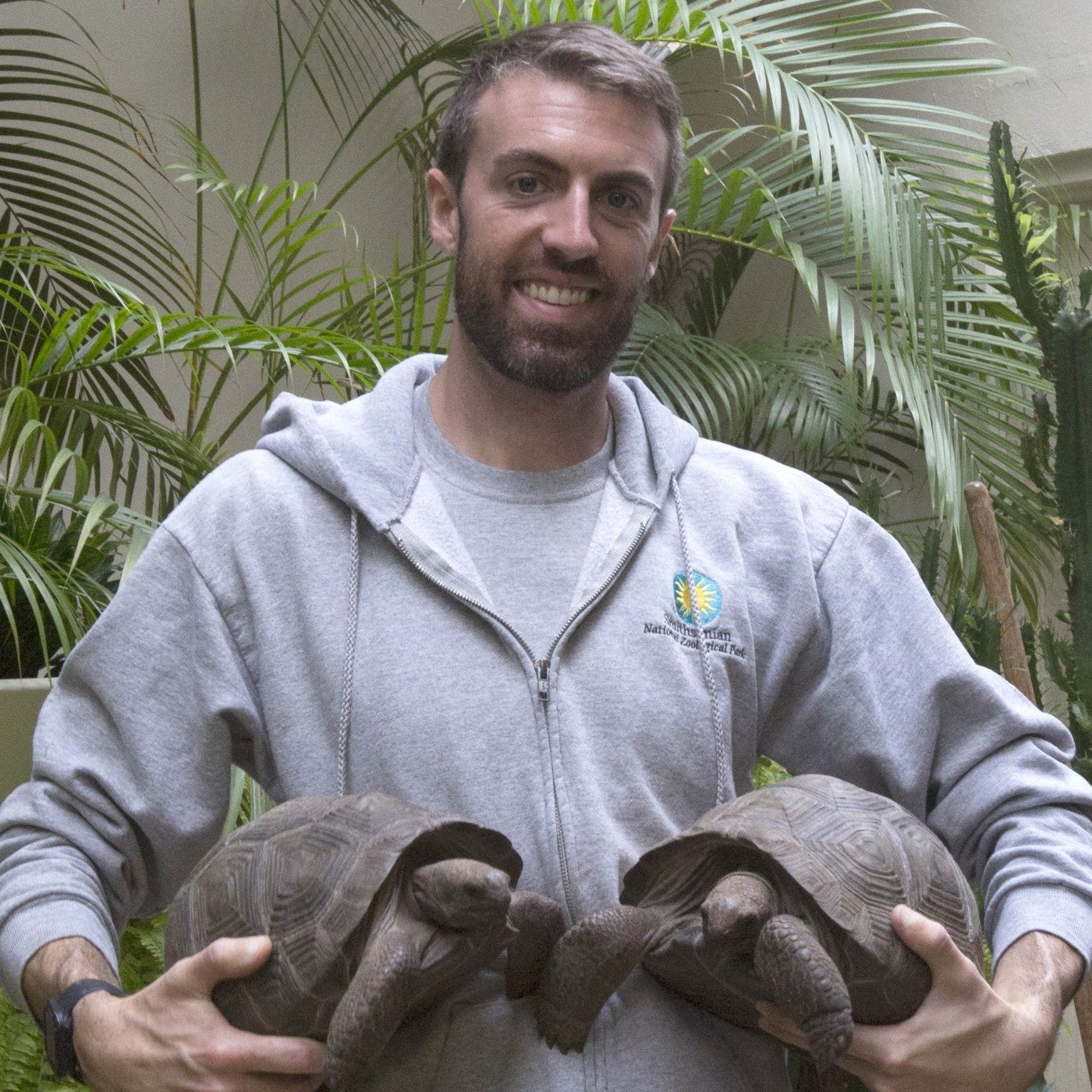 Animal keeper Matt Neff holds two tiny Aldabra tortoises, one in each hand. They weigh less than 10 pounds each.
