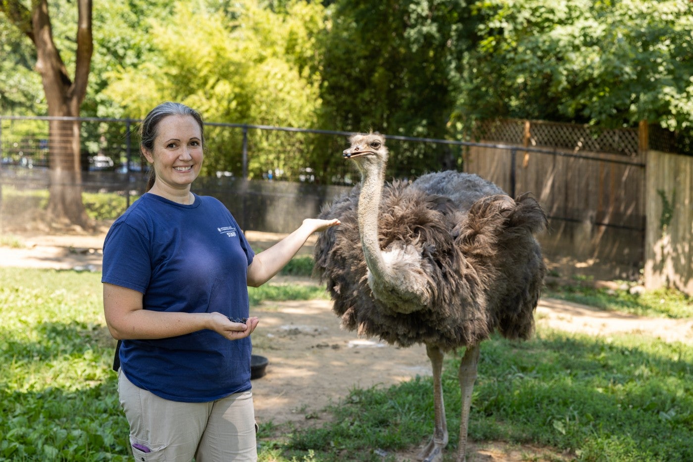 Keeper Tallie WIles feeds grapes to ostrich Linda. 