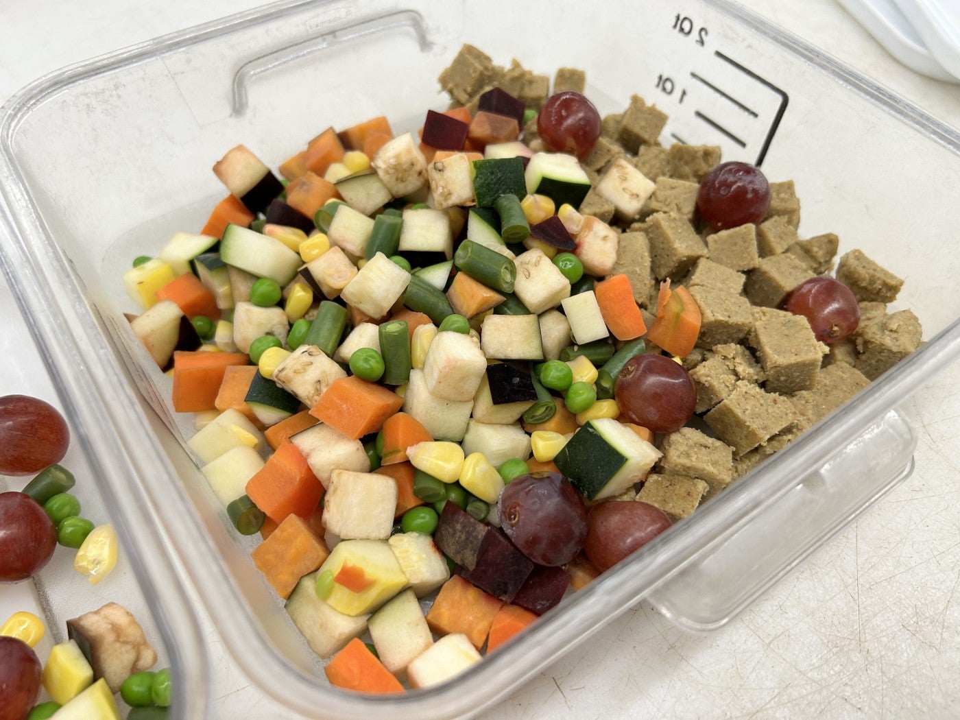 Photo of a plastic container filled with a variety of cubed vegetables, several grapes, and specialty animal food. 