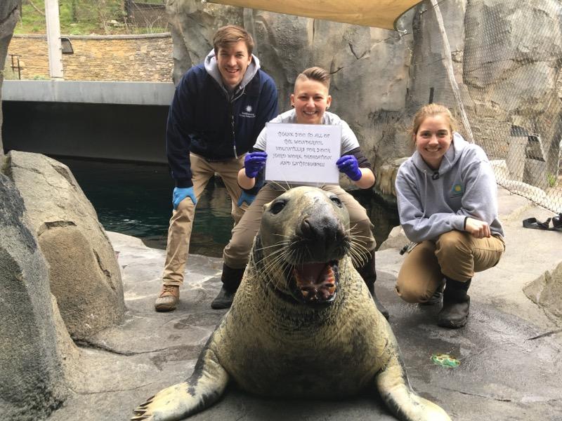 American Trail keepers at the Smithsonian's National Zoo pose with gray seal Gunther and hold a sign that says, "Thank you to all of the wonderful volunteers for your hard work, dedication, and enthusiasm!"