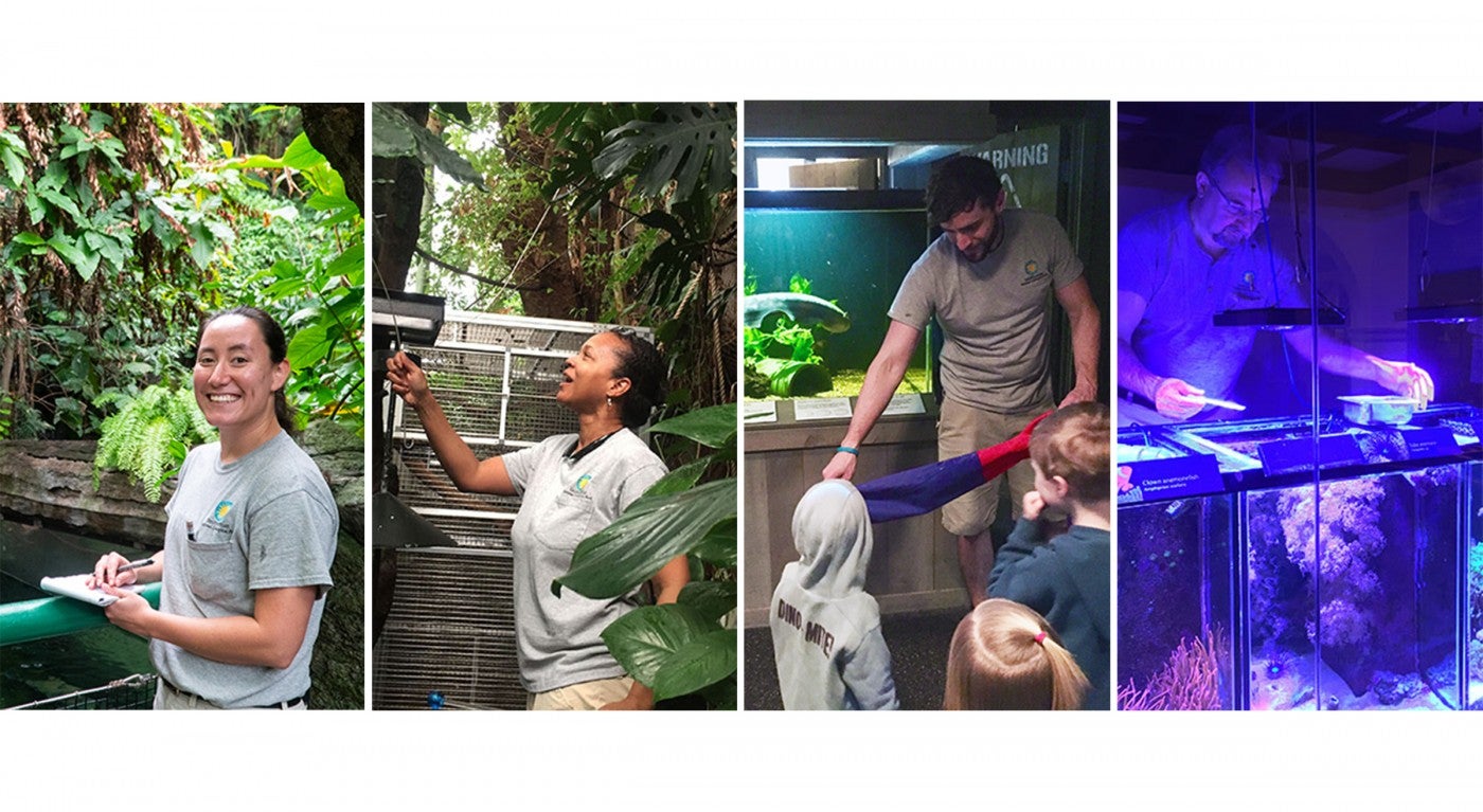 Amazonia keepers caring for the animals in the forest, Electric Fishes Lab, and Coral Lab