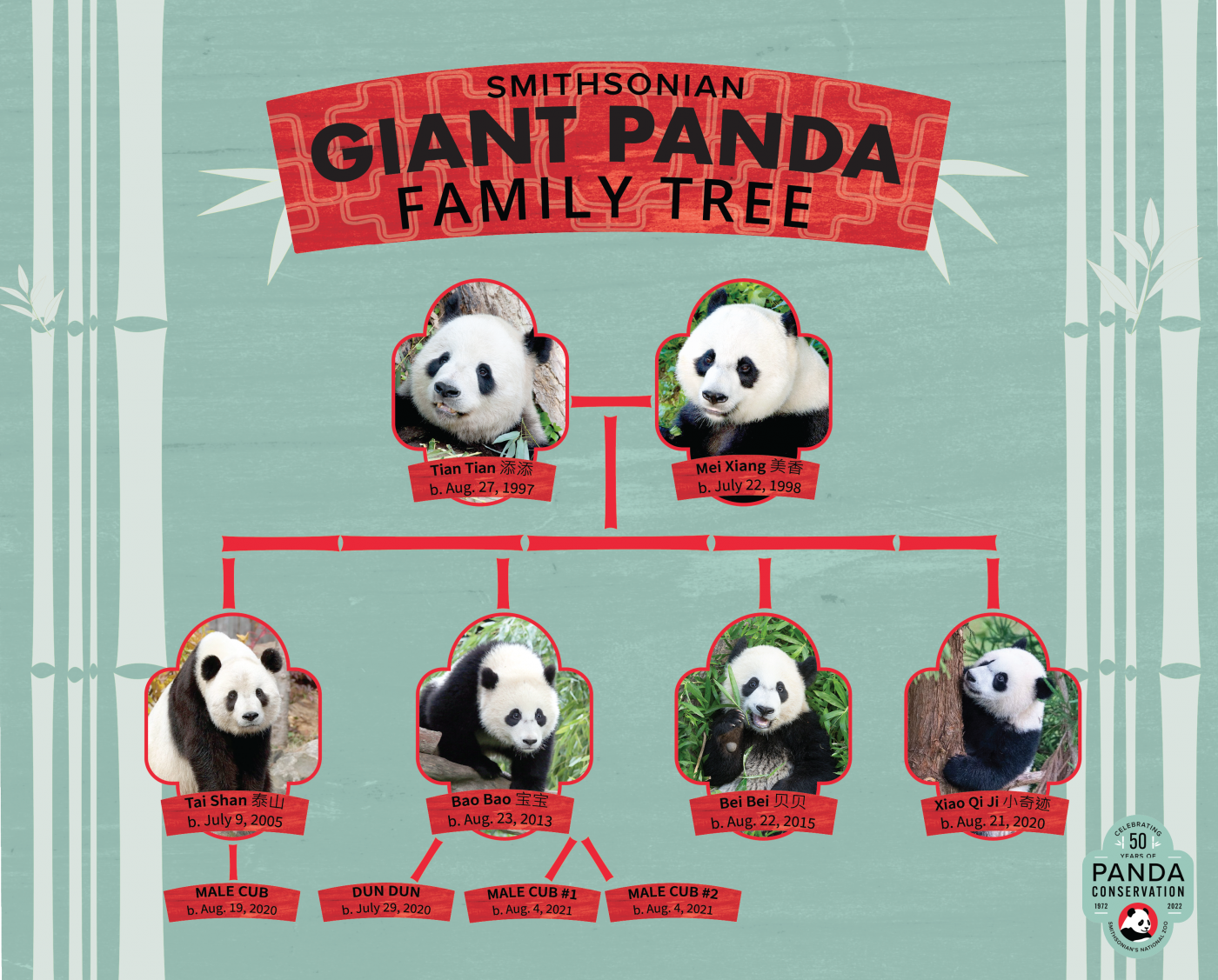 A giant panda "family tree" showing the parents and offspring of the Smithsonian's National Zoo's Giant Panda Family