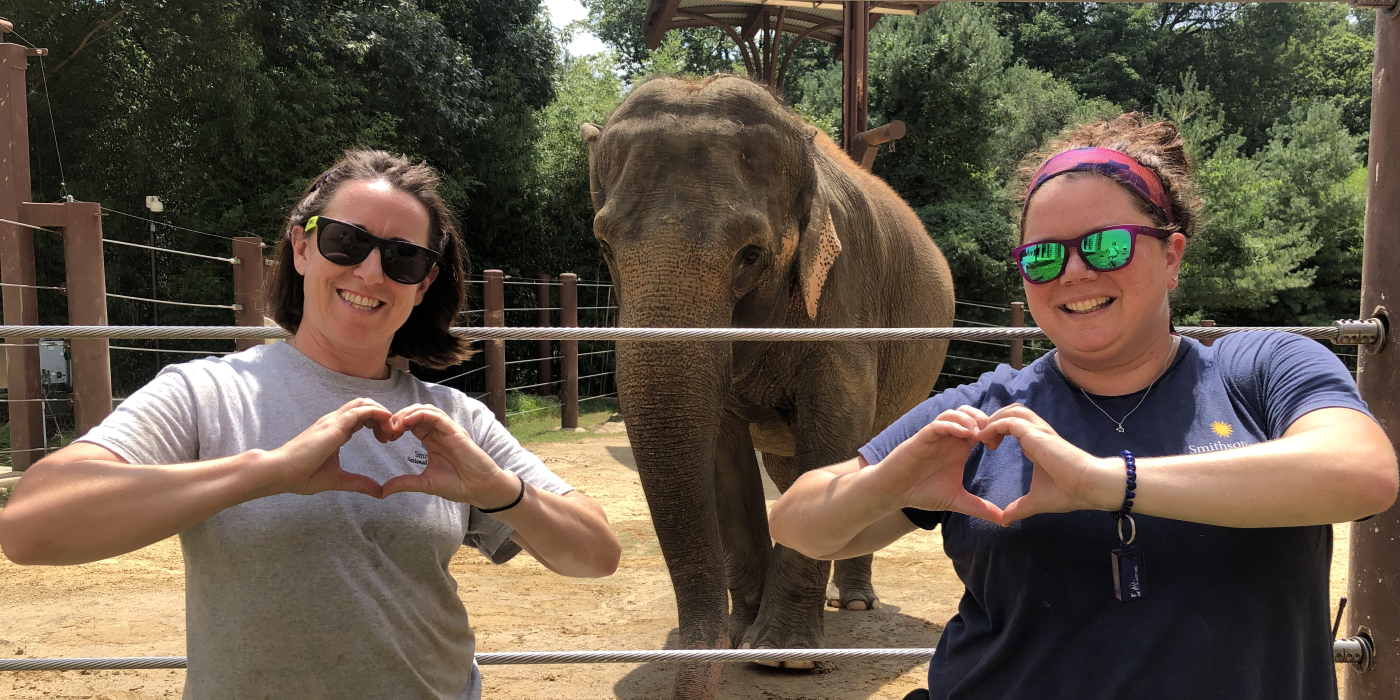 Keeper Rebecca Riley (left) and Becca Spickler (right) stand in front of female Asian Elephant Swarna (behind, center). The keepers are holding their hands up in a heart shape. 