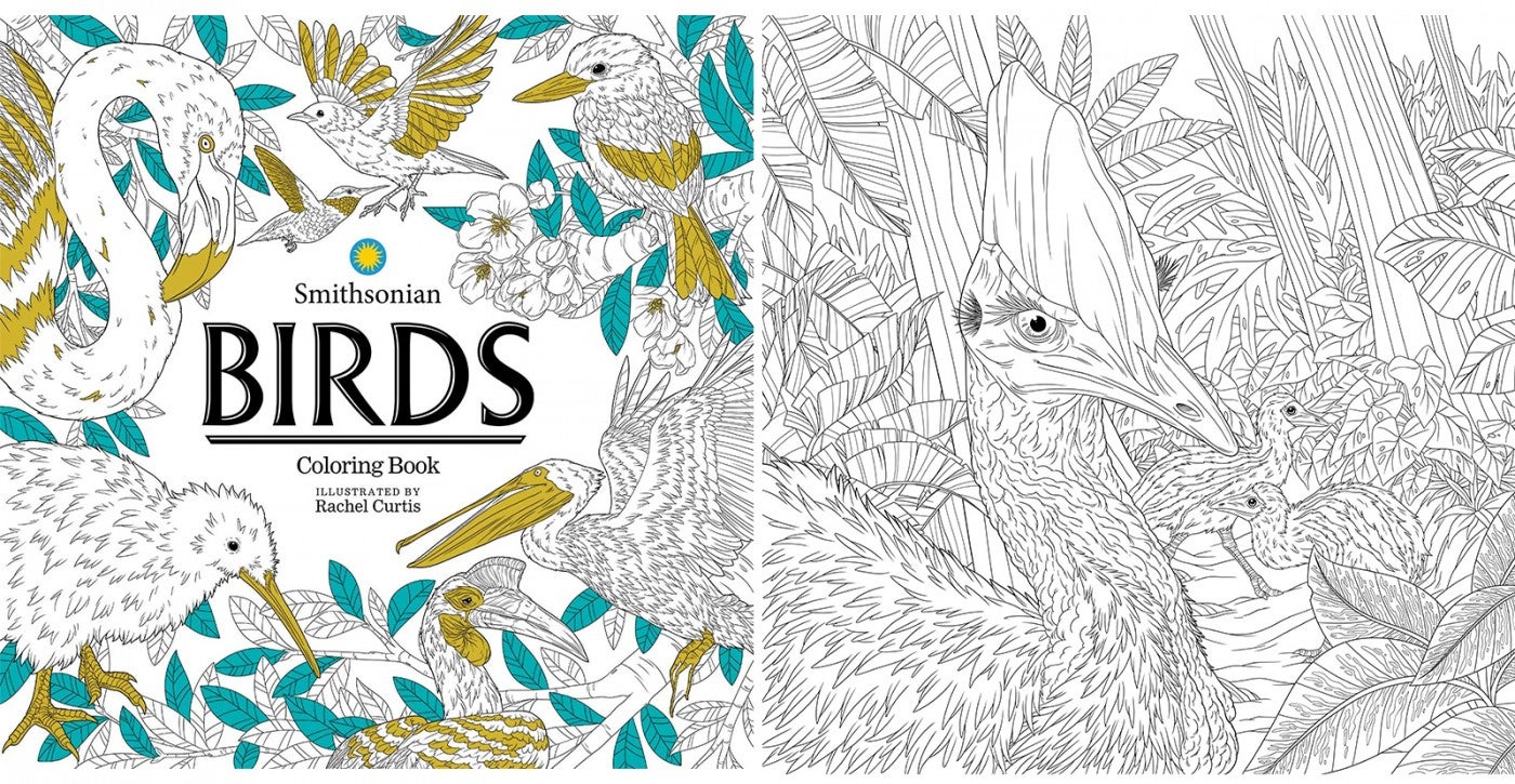 Birds, A Smithsonian Coloring Book cover and southern cassowary coloring page.