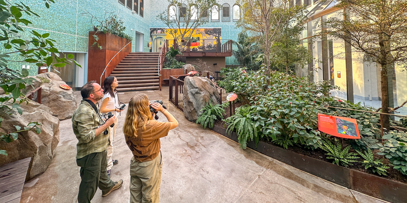 A trio of Zoo visitors uses a pair of binoculars to search for birds hiding in the lush greenery of the Coffee Farm aviary.