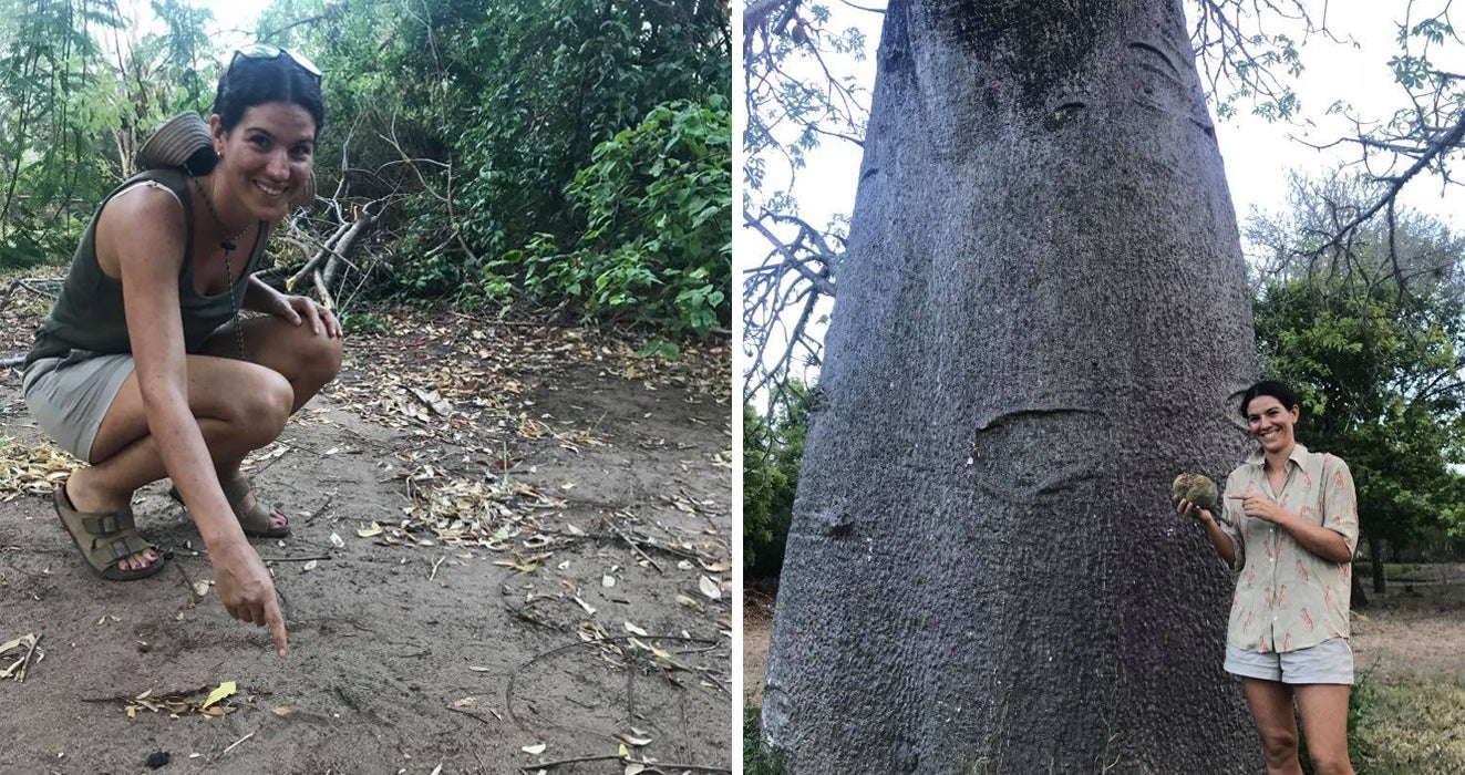 Two images: On the left, Francesca Vitali crouches down to point out some wildlife footprints in the mud in a Kenya forest. On the right, Francesca stands next to a Baobab tree in Kenya. She is holding a baobab fruit.