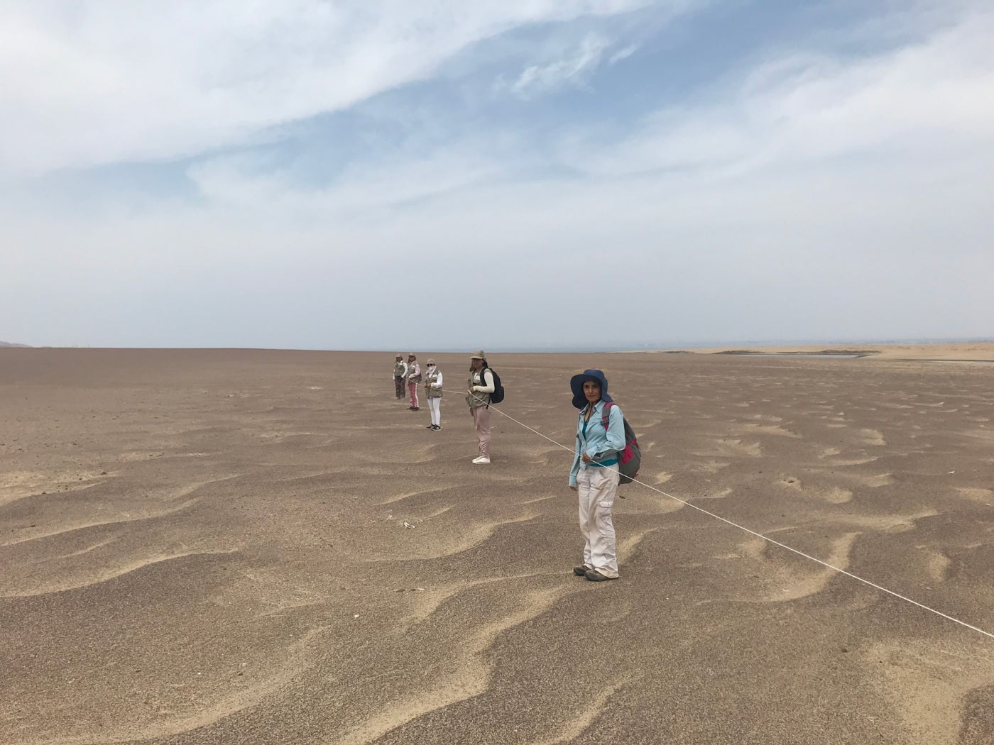 A team of researchers in the sandy, open desert landscape of Peru's Paracas National Reserve. The researchers are spread out and hold onto a rope stretched between them