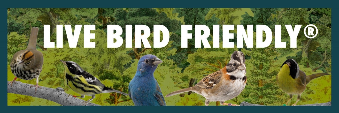 A composite image of songbirds perched on a branch with leafy, green trees in the background and the text "Live Bird Friendly"