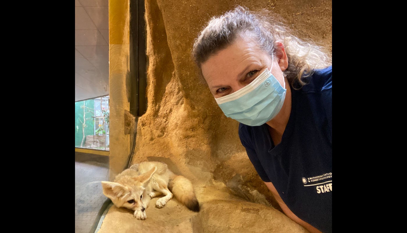 Animal keeper Maria Montgomery takes a selfie with fennec fox Daisy. Maria is wearing a light blue surgical mask and a navy blue T-shirt with the Zoo's logo on the left side of the shirt. Daisy is laying on some stone next to the glass window.