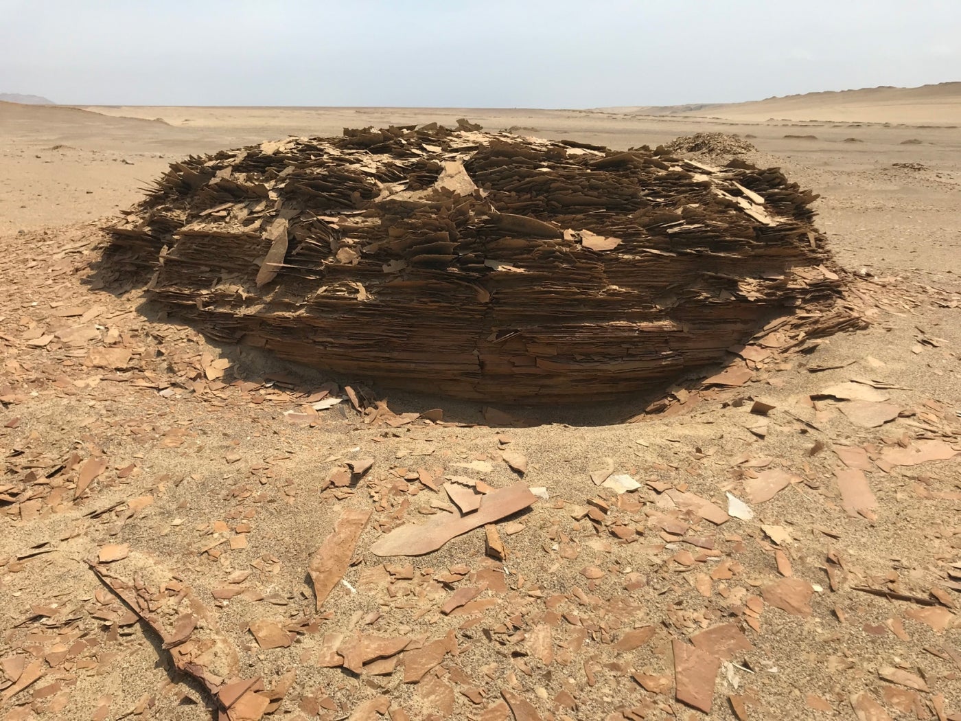 An outcrop in Peru's Paracas National Park that resembles a puff pastry with many layers
