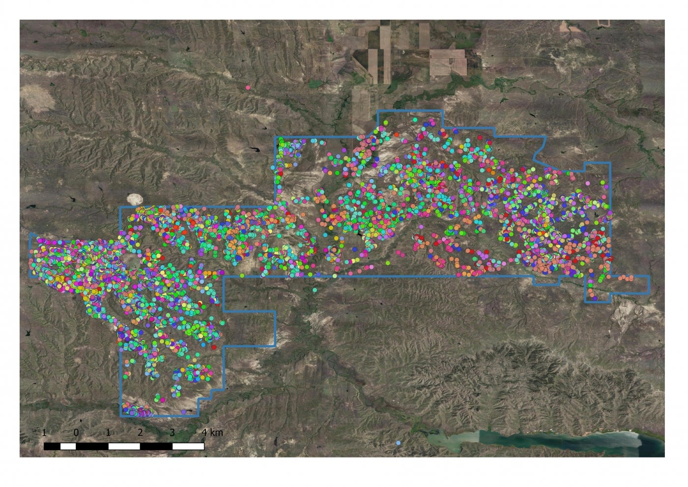 An aerial map of an area of American Prairie Reserve in Montana. A boundary line is filled dots of different colors, indicating where bison wearing GPS ear tags have traveled.