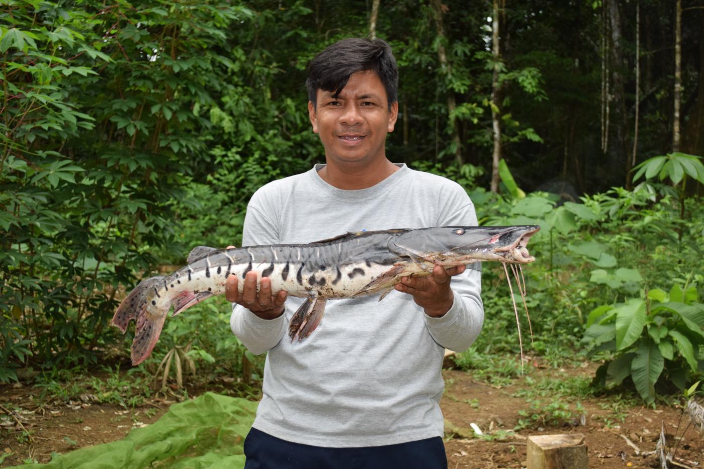 A fish researcher in the Peruvian Amazon holds a spotted tiger shovelnose catfish