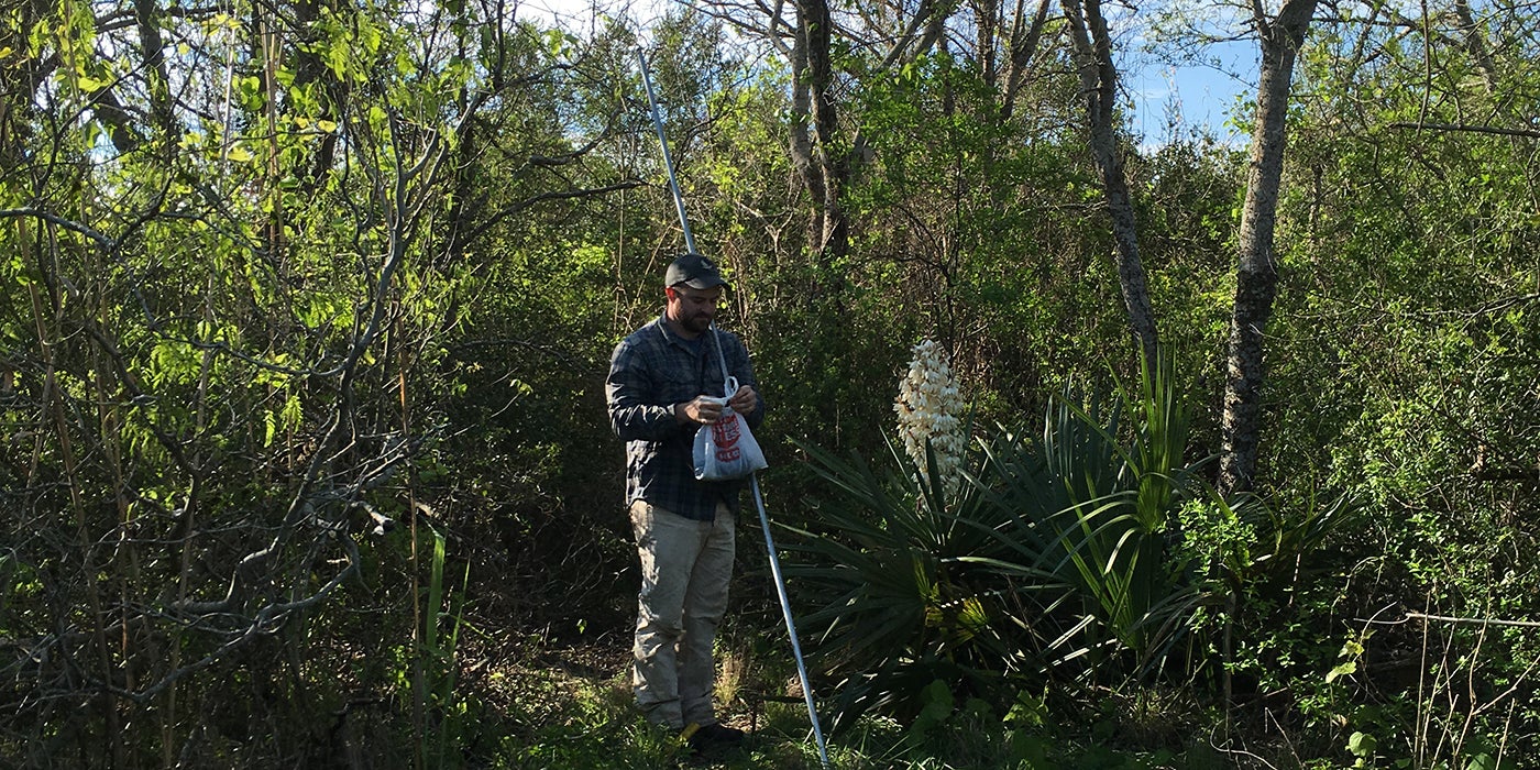 A Smithsonian Migratory Bird Center scientist setting up a mist nest in the forest for catching and releasing migratory birds