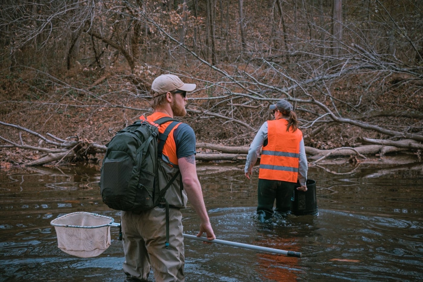 Researchers in waders and vests hold nets and buckets as they walk through a stream in a forest
