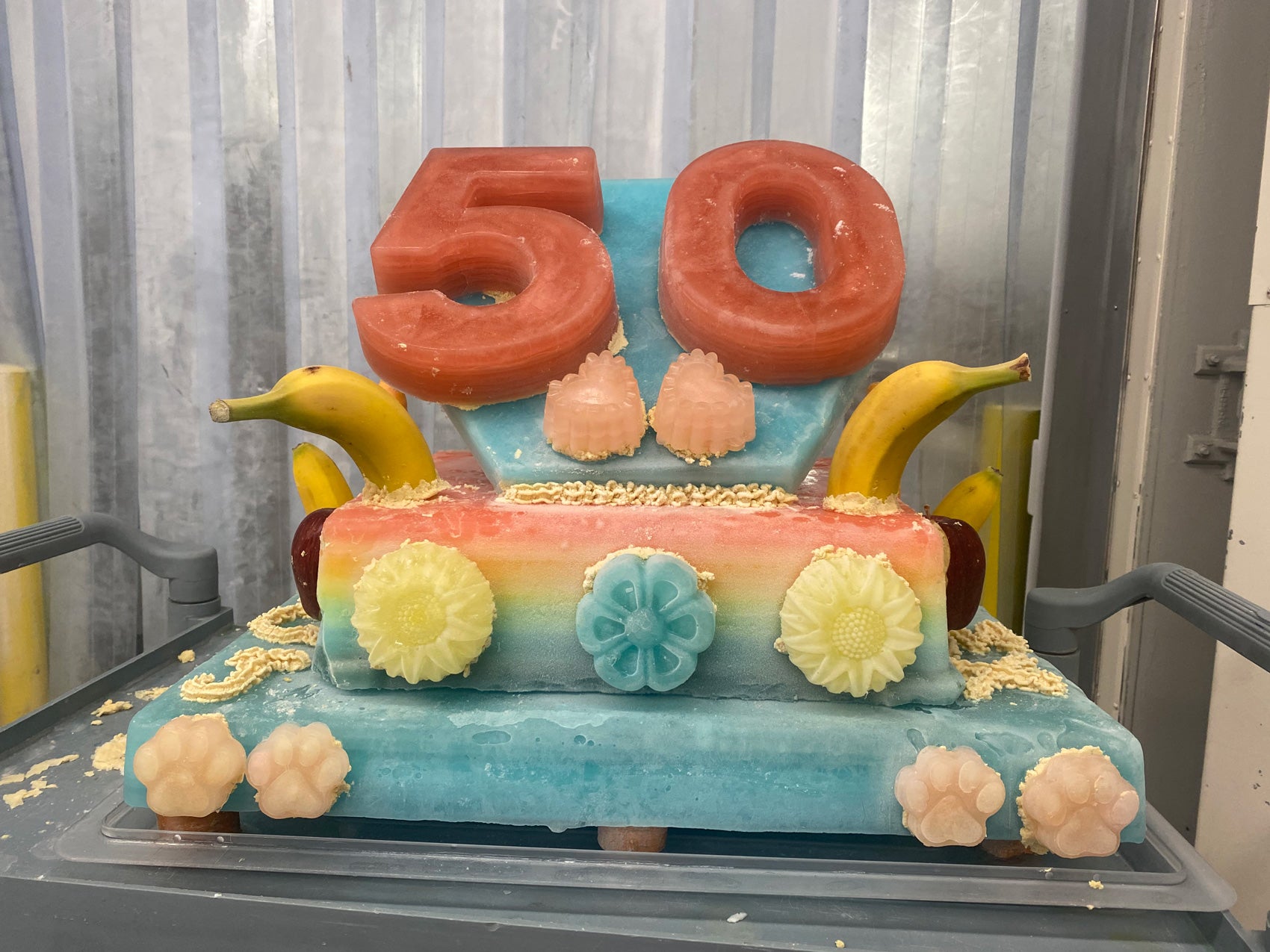 A three-tiered, colorful frozen ice cake with fresh produce and frozen decorations shaped like paws, flowers, suns, and the number 50