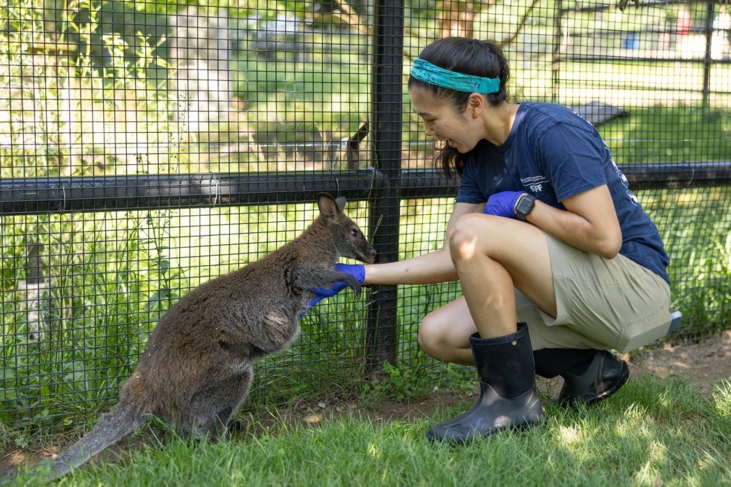 Keeper Chelia Chong and a wallaby. 