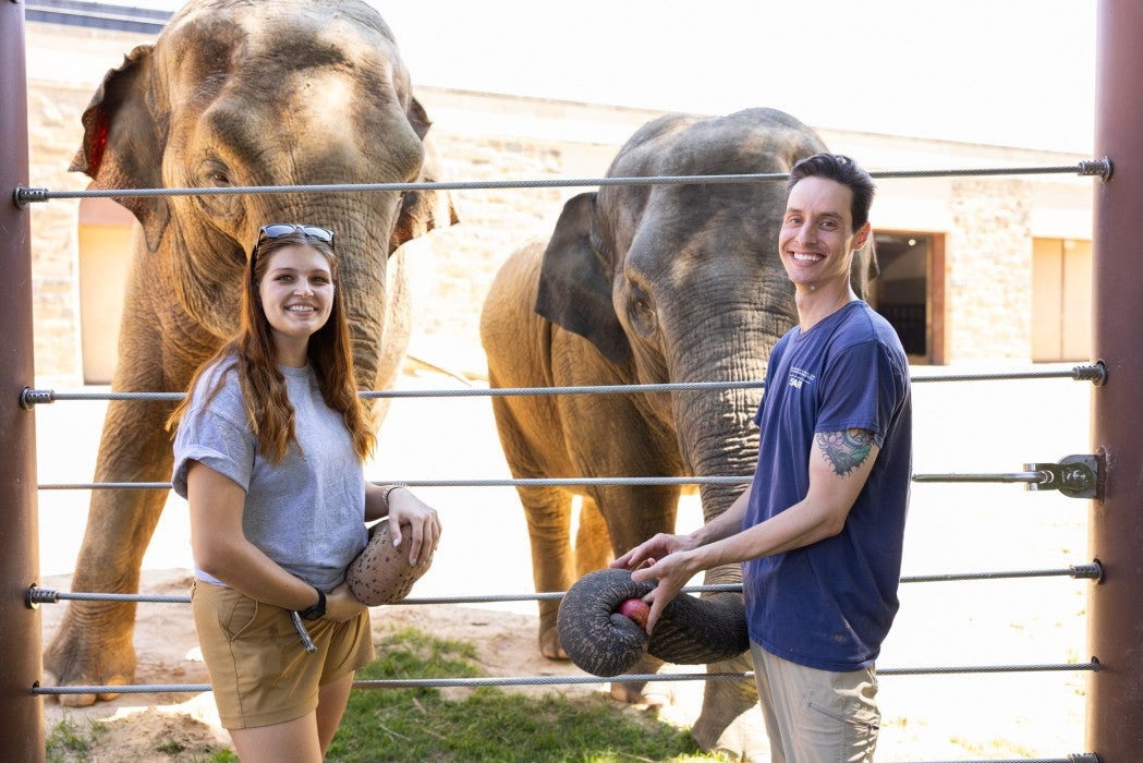 Elephant keepers Ashley Fortner and Robbie Clark with elephants Trong Nhi and Nhi Linh. 