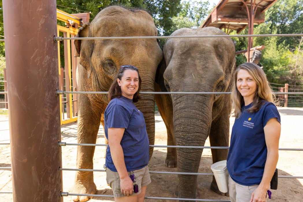 Keepers Rebecca Riley and Megan Boyd with elephants Trong Nhi and Nhi Linh.. 
